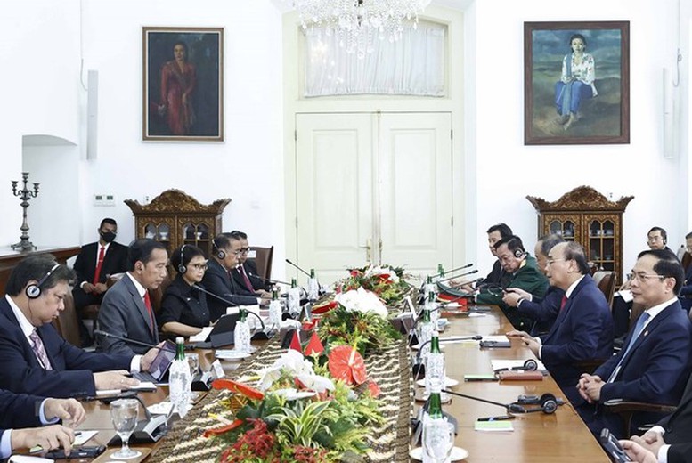 Chủ tịch nước Nguyễn Xuân Phúc hội đàm với Tổng thống Indonesia - Ảnh 1.