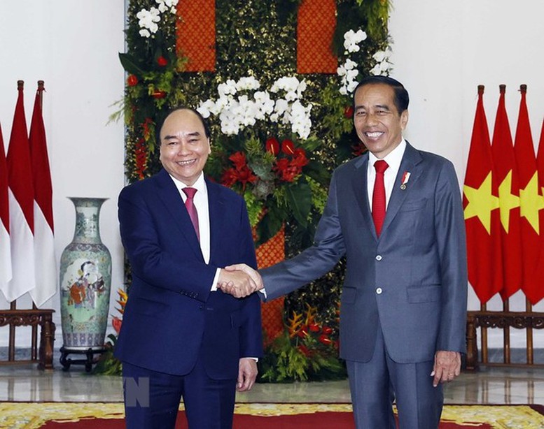 Chủ tịch nước Nguyễn Xuân Phúc hội đàm với Tổng thống Indonesia - Ảnh 3.