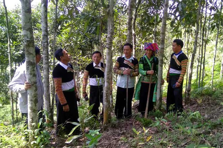 Tạo sinh kế bền vững vùng đồng bào dân tộc thiểu số Tây Nguyên - Ảnh 2.