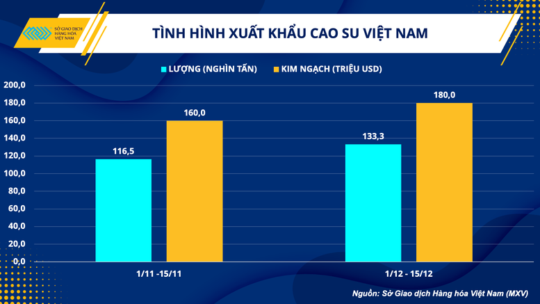 Ngành cao su của Việt Nam nỗ lực vượt qua thách thức - Ảnh 1.