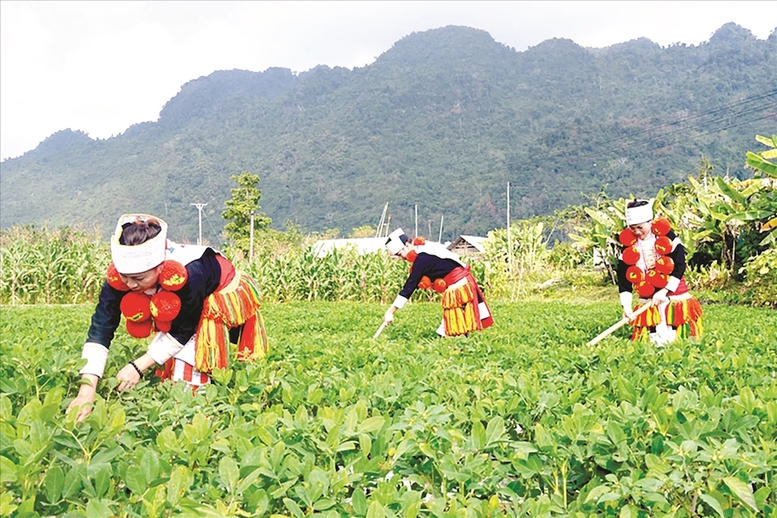 Chương trình hành động thực hiện Chiến lược công tác dân tộc giai đoạn 2021 – 2030 - Ảnh 1.