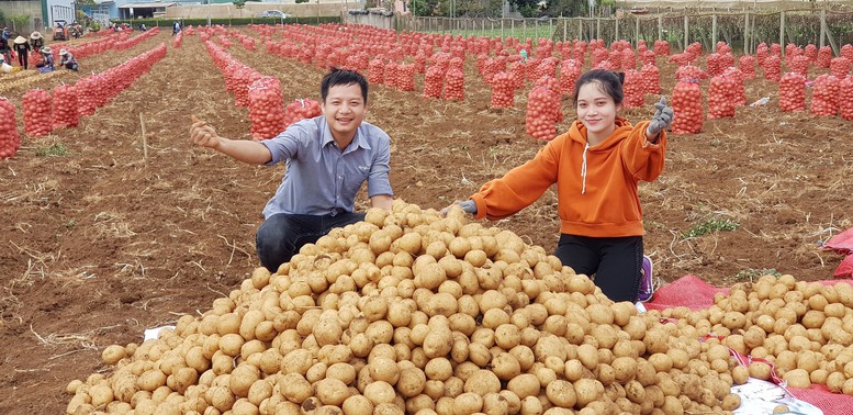 Xây dựng nền nông nghiệp xanh và gia tăng giá trị - Ảnh 2.