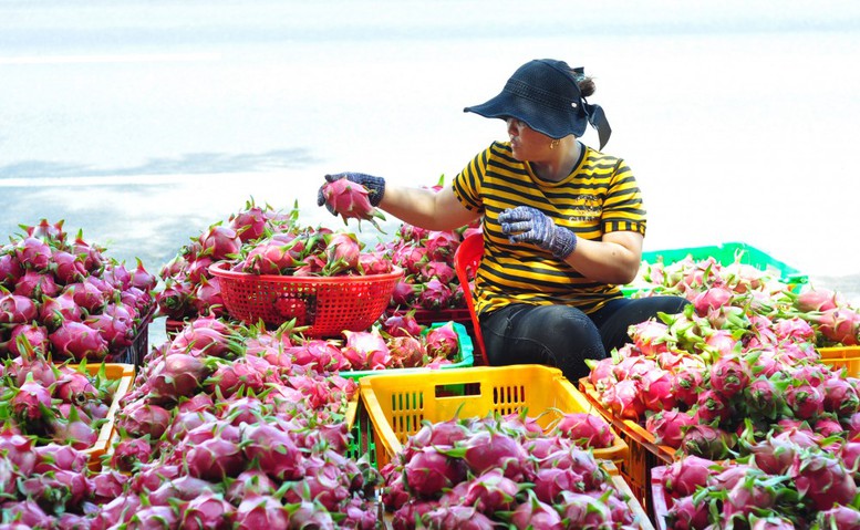 Khi Trung Quốc không còn là thị trường dễ tính - Ảnh 1.