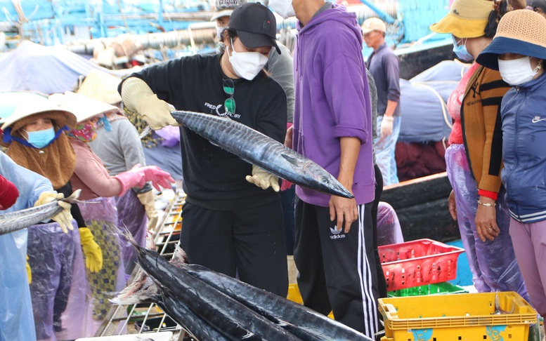 Ngư dân phấn khởi vươn khơi đón 'lộc biển' đầu năm