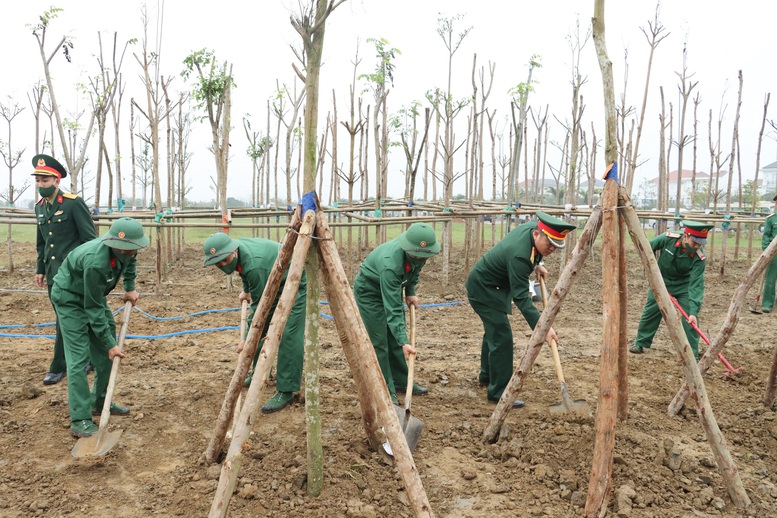 Thừa Thiên Huế đồng loạt ra quân phát động Tết trồng cây - Ảnh 2.