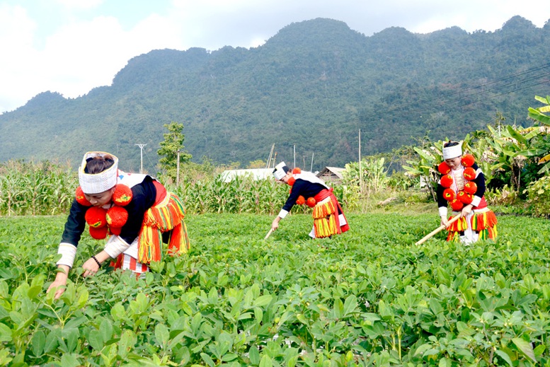 Khẩn trương hoàn thiện hồ sơ giao vốn các chương trình MTQG - Ảnh 1.