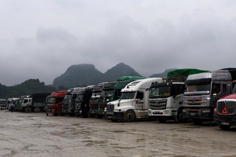 Triển khai nhiều giải pháp chống ùn ứ hàng hoá cửa khẩu biên giới - Ảnh 1.