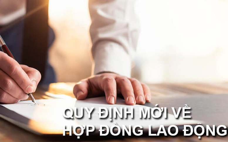 Đề xuất mới về các trường hợp ký hợp đồng lao động trong cơ quan hành chính