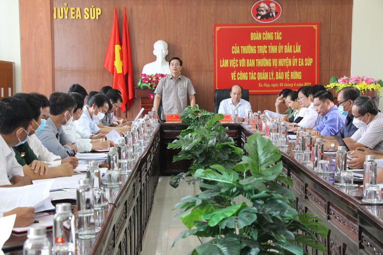 Vụ phá gần 400ha rừng: Khẩn trương điều tra, xử lý nghiêm, không có vùng cấm, ngoại lệ - Ảnh 5.