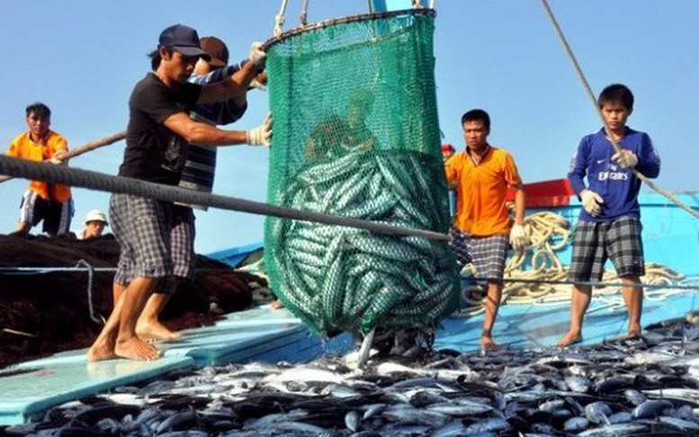 Phê duyệt Chương trình điều tra, đánh giá tổng thể nguồn lợi thủy sản