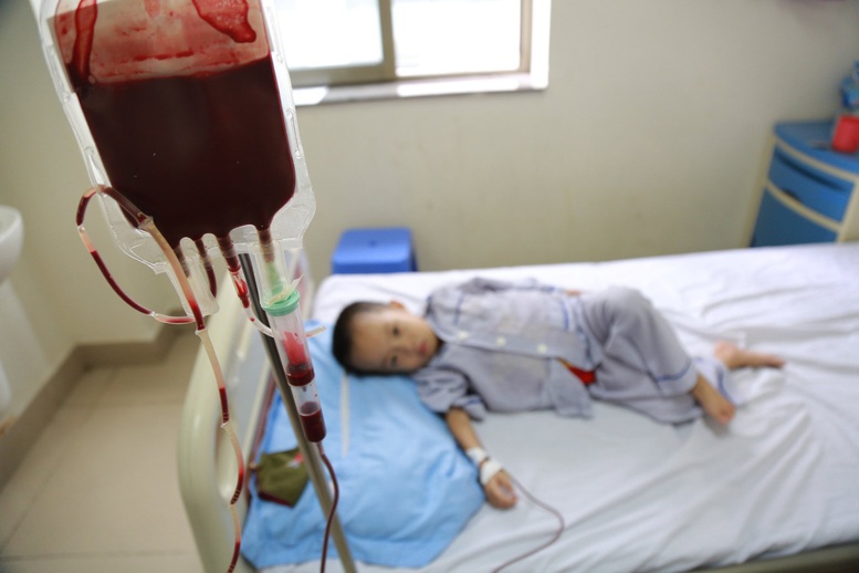 Bệnh Thalassemia - Ai cũng có thể mang gen bệnh - Ảnh 2.