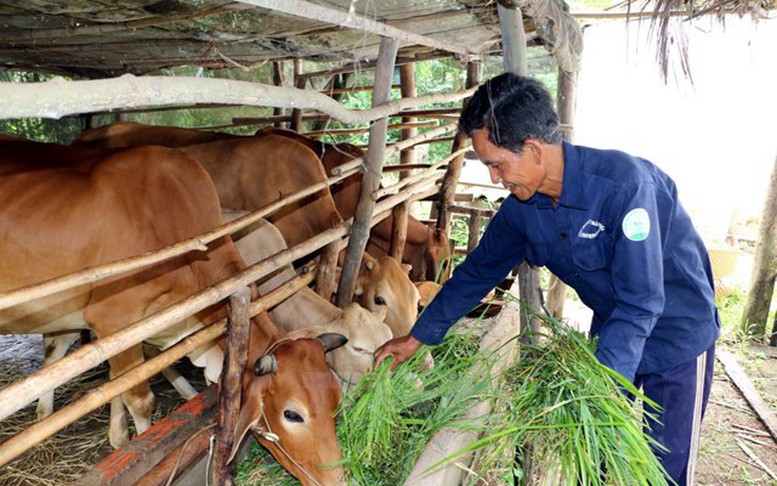 Tăng năng suất lao động là ‘chìa khóa’ để giảm nghèo bền vững