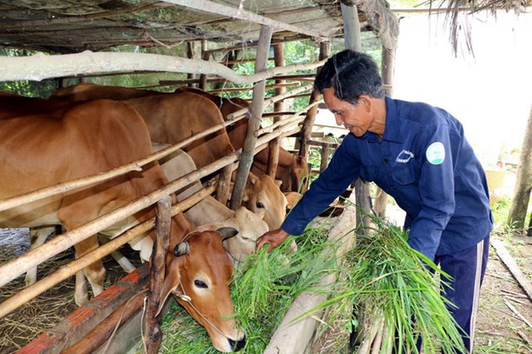 Tăng năng suất lao động là ‘chìa khóa’ để giảm nghèo bền vững - Ảnh 1.