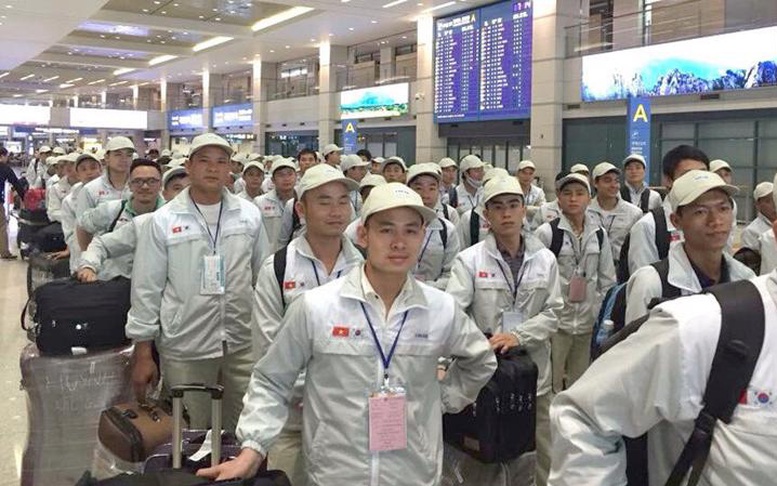 Hàn Quốc miễn cách ly, gia hạn hợp đồng cho lao động Việt Nam