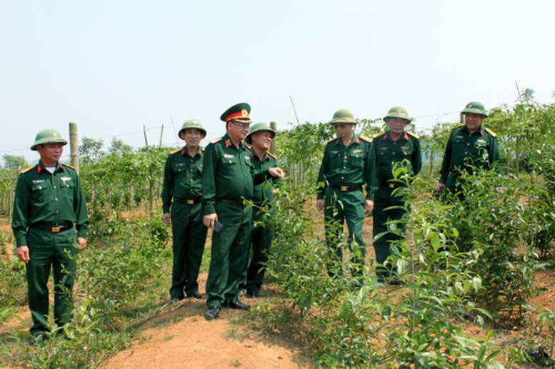 Hỗ trợ tài chính đối với Đoàn kinh tế - quốc phòng - Ảnh 1.