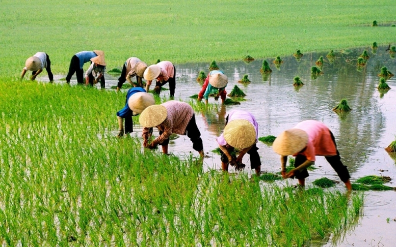 Nông dân trung tâm - Nông nghiệp trụ đỡ