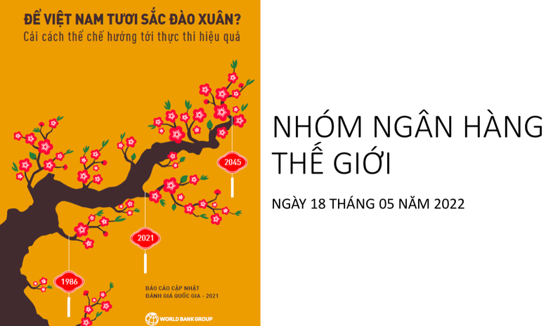 WB: cải cách thể chế cần theo kịp tốc độ phát triển của Việt Nam - Ảnh 2.