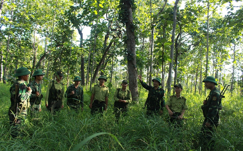 Thông tin chỉ đạo, điều hành của Chính phủ, Thủ tướng Chính phủ