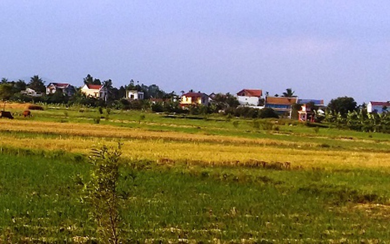 Xét cấp sổ đỏ đất khai hoang căn cứ quy định nào?