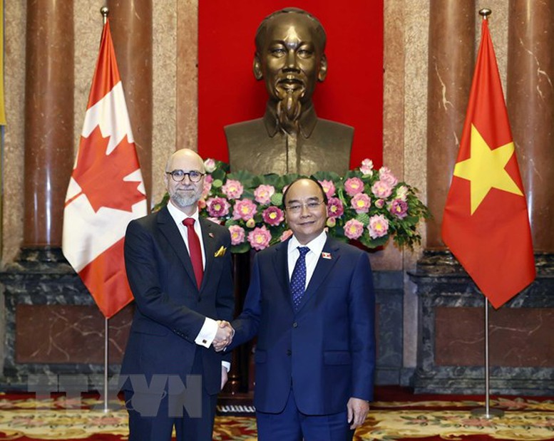 Chủ tịch nước tiếp Đại sứ Ukraine và Đại sứ Canada trình Quốc thư - Ảnh 2.