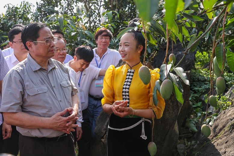 Thủ tướng: &quot;Đưa cây ăn quả lên sườn dốc&quot; thay đổi tư duy quan trọng - Ảnh 2.