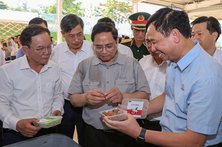 Thủ tướng: &quot;Đưa cây ăn quả lên sườn dốc&quot; thay đổi tư duy quan trọng - Ảnh 10.