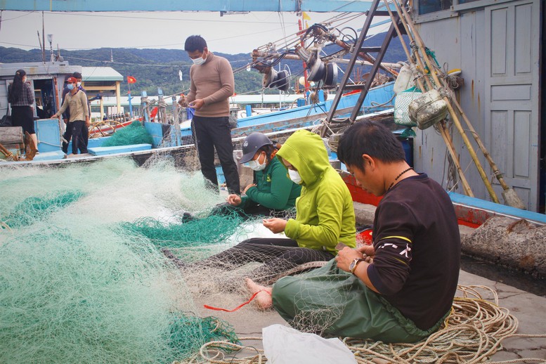 Ngư dân miền Trung khắc phục khó khăn, nỗ lực vươn khơi bám biển - Ảnh 2.