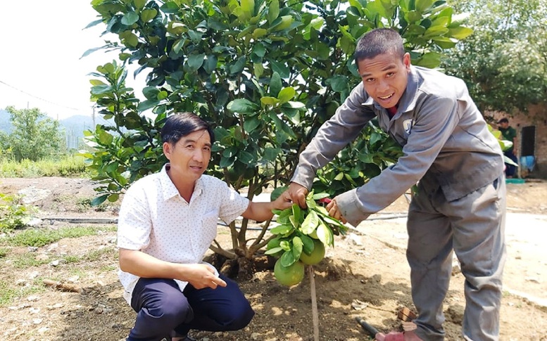 Làm nông nghiệp sạch trên vùng đất khó