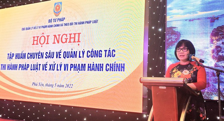 Bộ Tư pháp tổ chức hội nghị tập huấn về xử lý vi phạm hành chính - Ảnh 1.