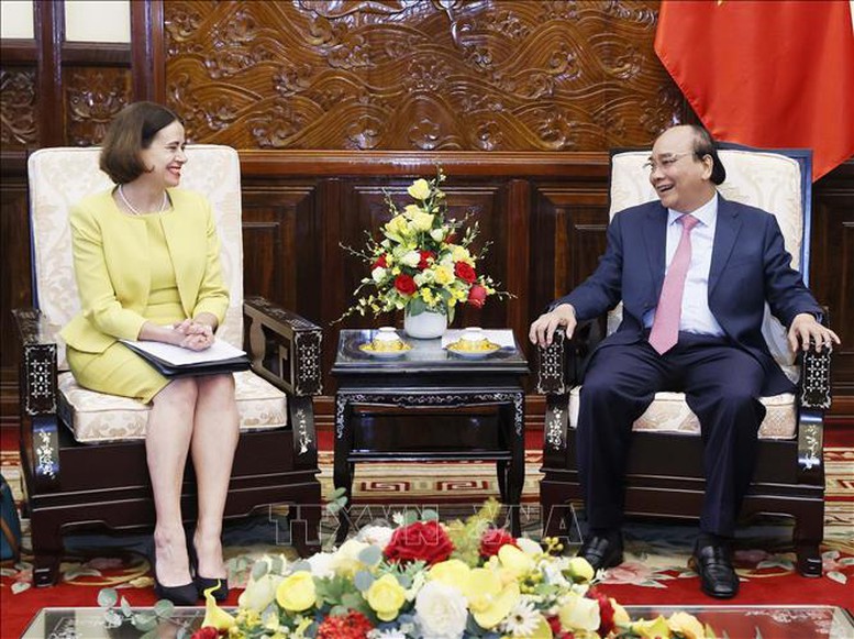 Chủ tịch nước Nguyễn Xuân Phúc tiếp Đại sứ Australia - Ảnh 1.