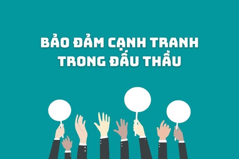 Đề xuất 2 phương án bảo đảm cạnh tranh trong đấu thầu - Ảnh 1.