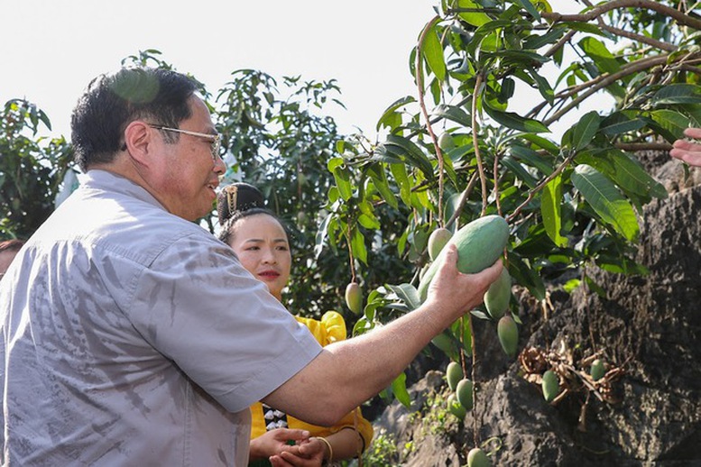 Sơn La phấn đấu trở thành trung tâm chế biến nông sản, hoa quả vùng Tây Bắc - Ảnh 2.