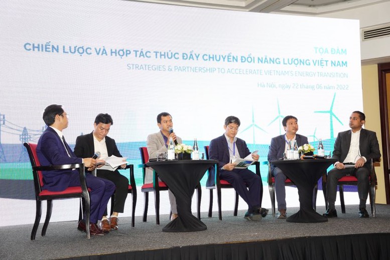 Thúc đẩy chuyển đổi năng lượng xanh và sạch cho Việt Nam - Ảnh 1.