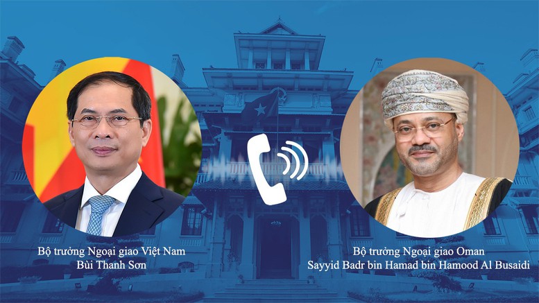 Bộ trưởng Bùi Thanh Sơn điện đàm với Bộ trưởng Bộ Ngoại giao Vương quốc Oman - Ảnh 2.