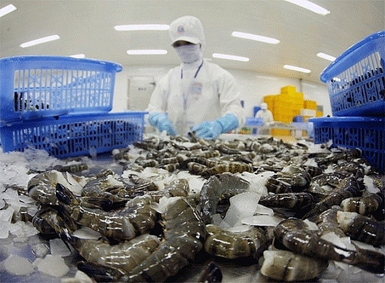 Thủy sản Việt Nam còn nhiều dư địa tại thị trường Bắc Âu - Ảnh 3.