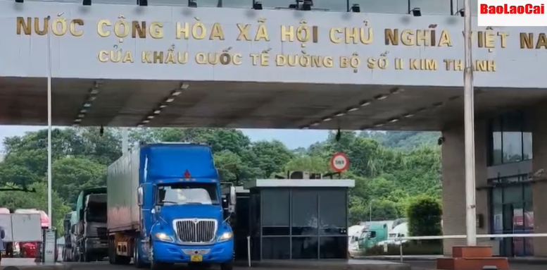 Thanh long, vải thiều, xoài bắt đầu xuất khẩu sang Trung Quốc qua cửa khẩu Lào Cai - Ảnh 1.