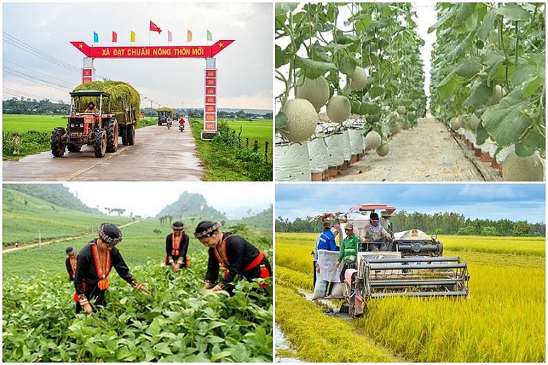 Phấn đấu &quot;Vì một Việt Nam không còn đói nghèo&quot; - Ảnh 1.