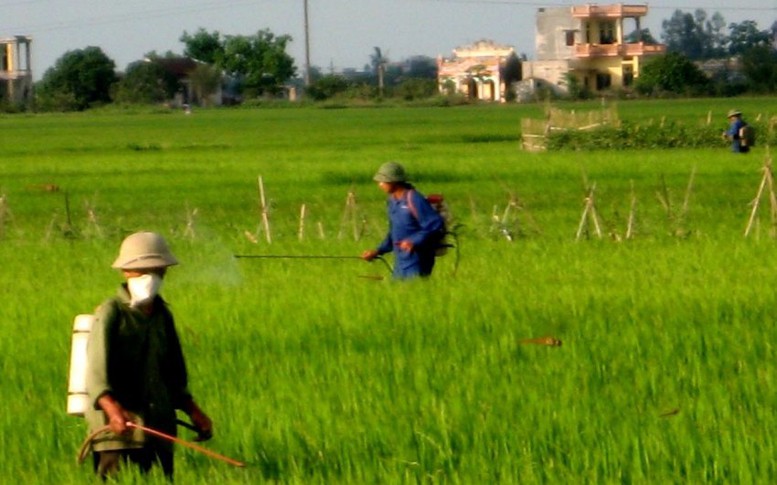 Nông nghiệp: Cần thay đổi tư duy, chứ không chỉ đối phó nhất thời