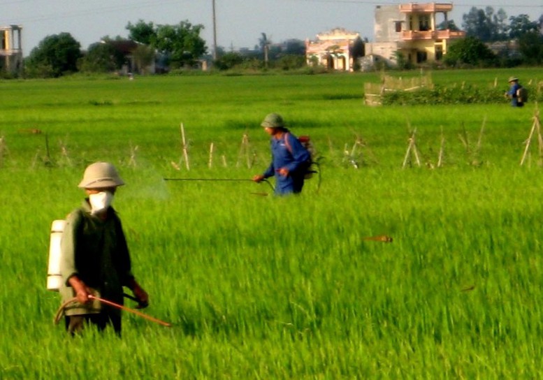 Nông nghiệp: Cần sự thay đổi về tư duy, chứ không chỉ là đối phó nhất thời - Ảnh 2.