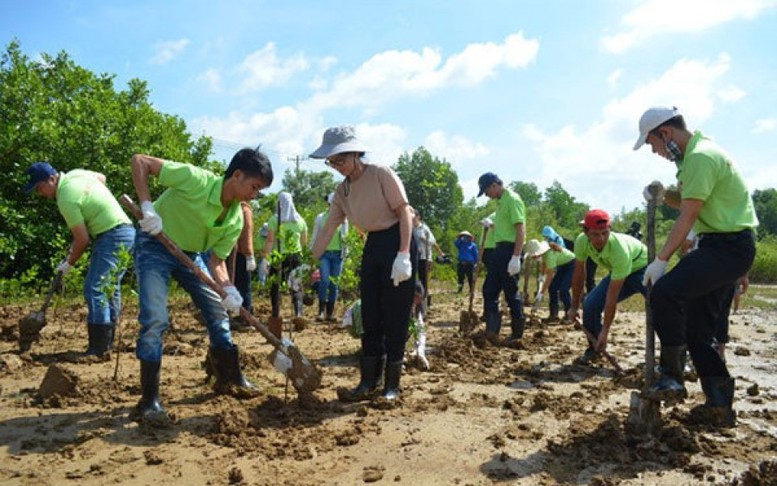 Tổ chức Liên hoan phim Môi trường toàn quốc lần thứ 8