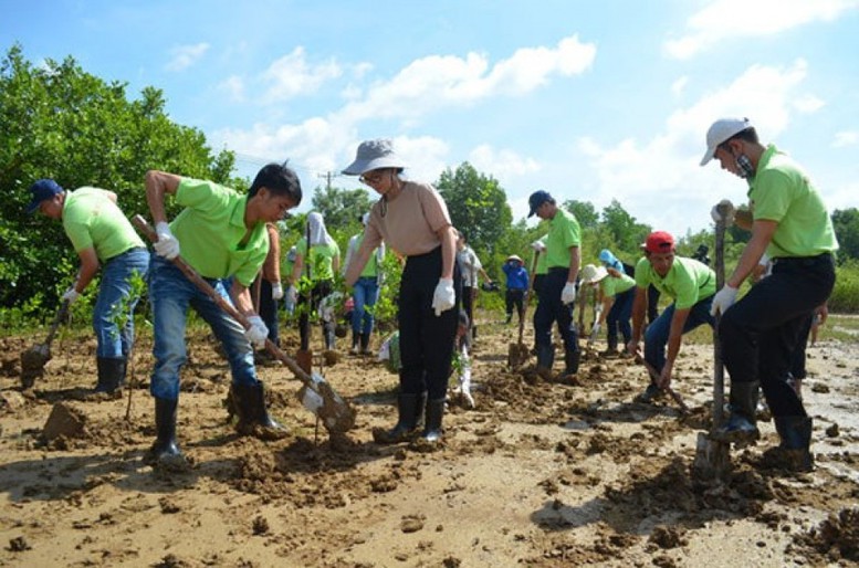 Tổ chức Liên hoan phim Môi trường toàn quốc lần thứ 8 - Ảnh 1.