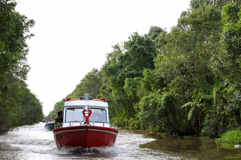 Thủ tướng khảo sát khu bảo tồn thiên nhiên độc đáo hàng đầu tại ĐBSCL - Ảnh 3.