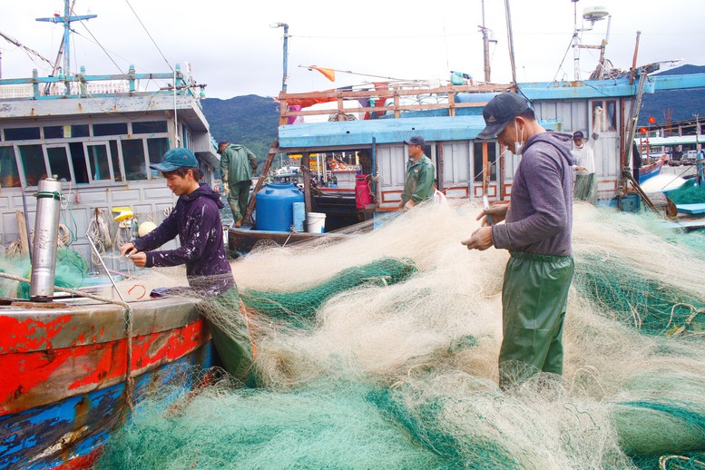 Xăng dầu &quot;hạ nhiệt&quot;, ngư dân phấn khởi vươn khơi - Ảnh 1.