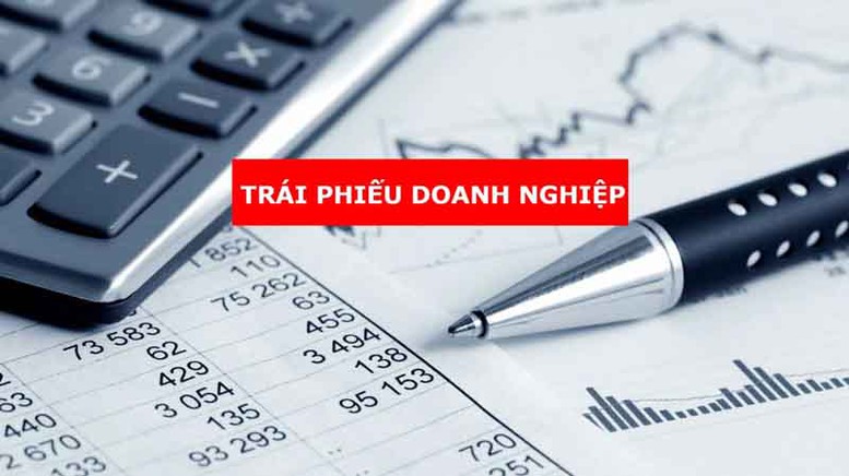 Tăng cường thanh tra, chấn chỉnh thị trường TPDN - Ảnh 1.