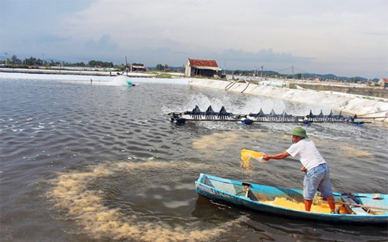 Kiểm soát, ngăn ngừa ô nhiễm trong các hoạt động thủy sản