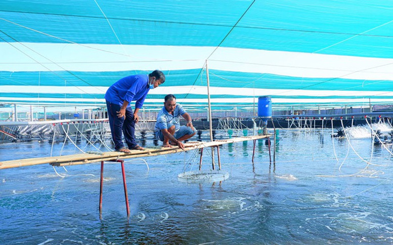 Bến Tre: Điểm nhấn trong phát triển kinh tế thủy sản