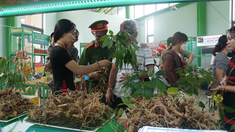 Phiên chợ bày bán hàng trăm kg sâm Ngọc Linh, có cây trị giá 900 triệu đồng - Ảnh 6.