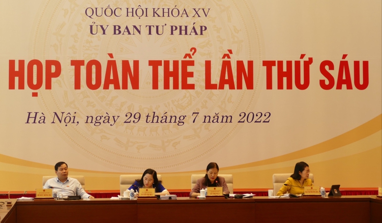 Cần thiết ban hành Pháp lệnh xử lý vi phạm hành chính cản trở hoạt động tố tụng   - Ảnh 1.