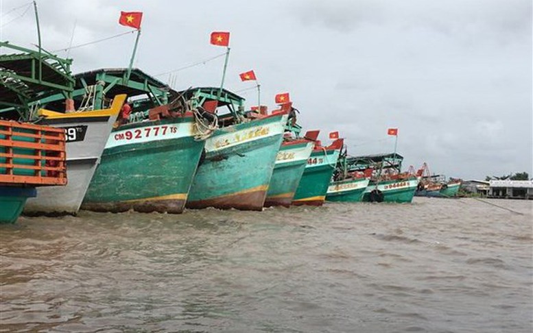 Bến Tre tăng cường giải pháp quản lý khai thác hải sản bất hợp pháp