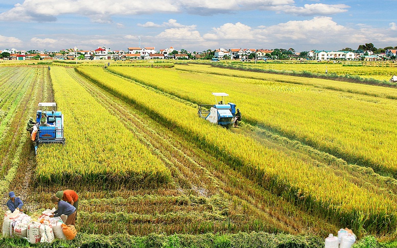 Giúp nông dân thoát bẫy tín dụng đen núp bóng bán chịu vật tư, phân bón 